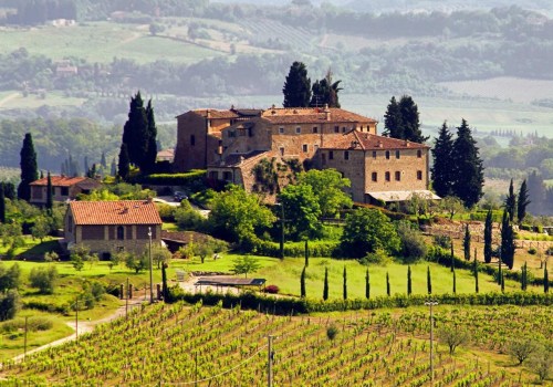 The Top Wineries in the World: A Wine Expert's Perspective